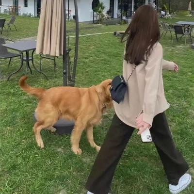 闪电约会
